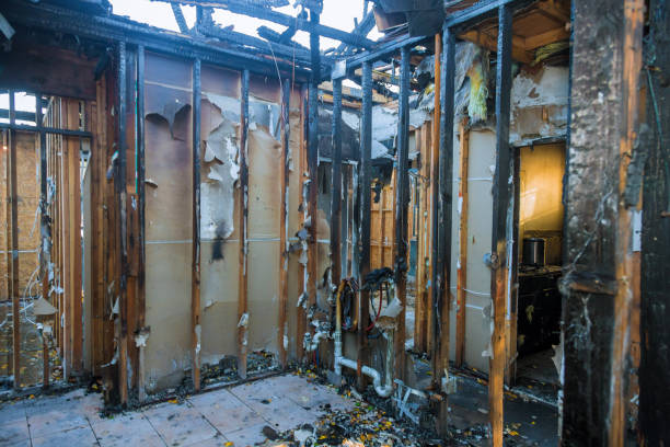 Professional Emergency Fire Cleanup technician working in Port Orchard, WA